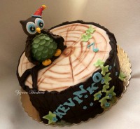 /album/detske-torty/dsc08433pic-sovicka-a-pnik-aug-2014-800-jpg/